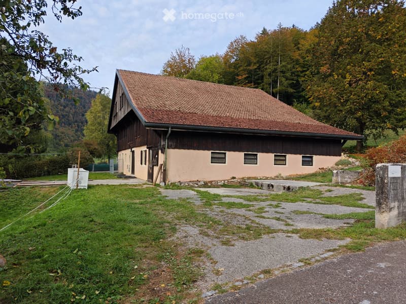 Appartement 4,5 pièces avec écurie et terrain pour chevaux (1)