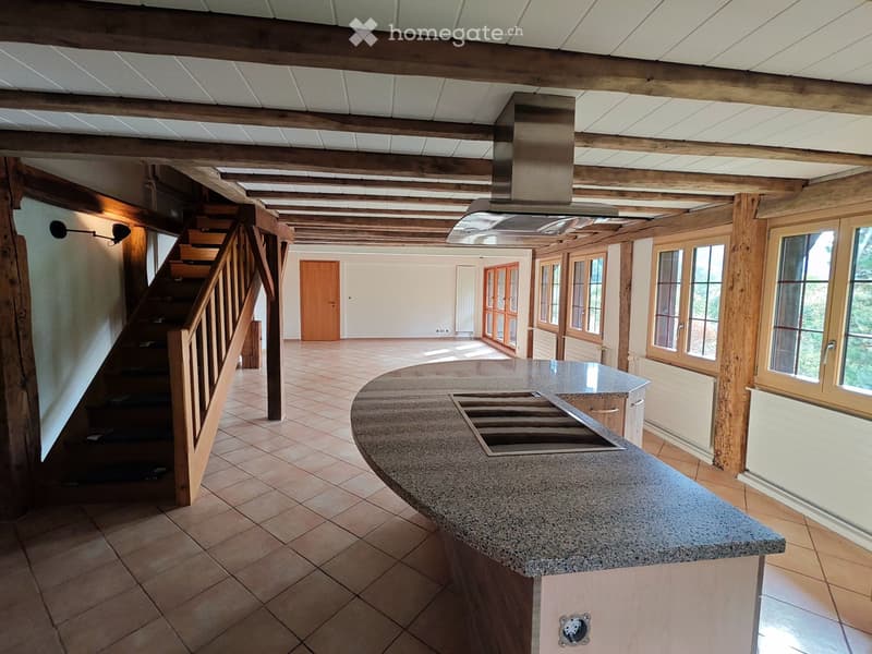 Appartement 4,5 pièces avec écurie et terrain pour chevaux (5)