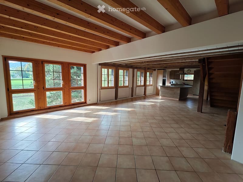 Appartement 4,5 pièces avec écurie et terrain pour chevaux (2)