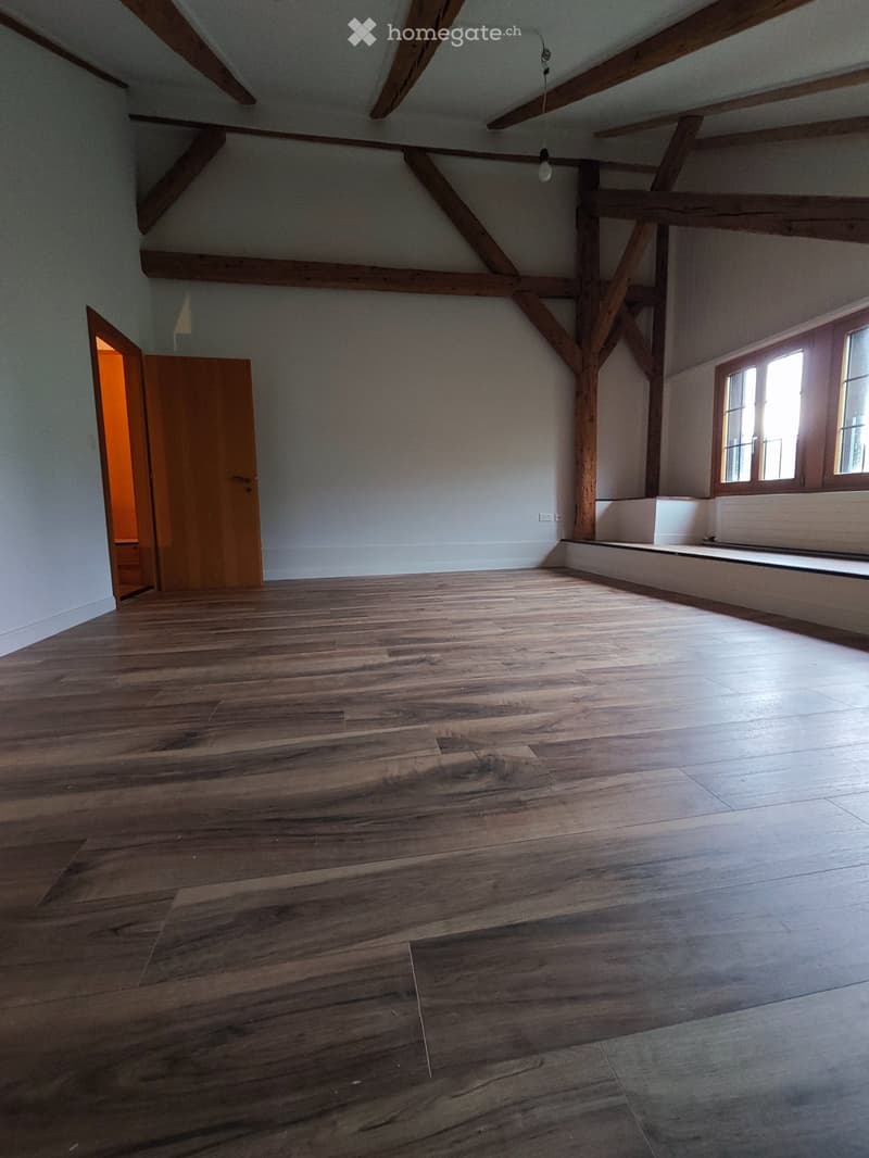 Appartement 4,5 pièces avec écurie et terrain pour chevaux (9)