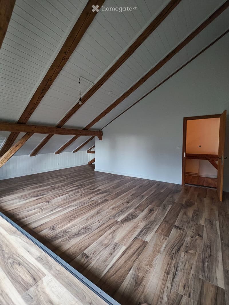 Appartement 4,5 pièces avec écurie et terrain pour chevaux (10)