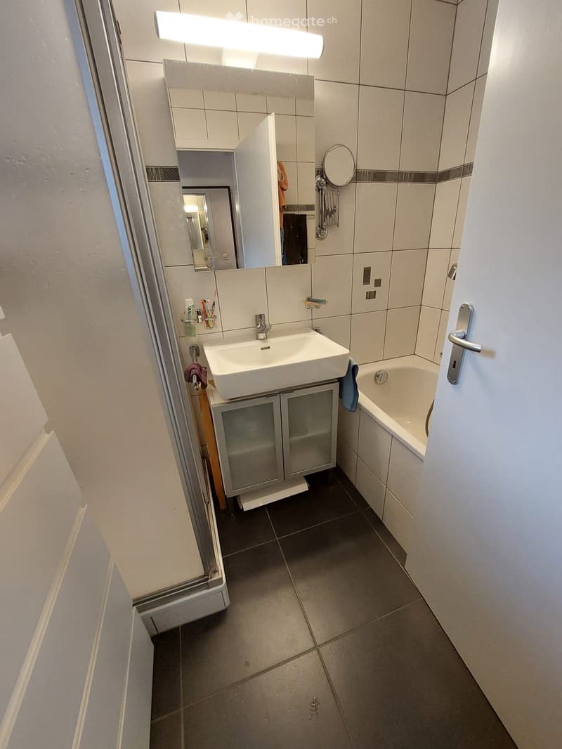 À LOUER  Appartement 4,5 pièces avec grand jardin (5)