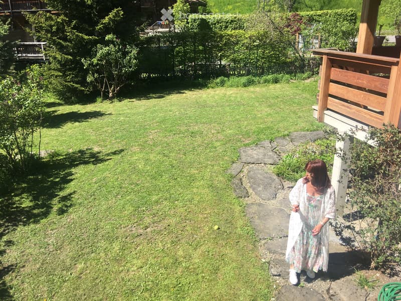 Chalet Edelweiss (2)