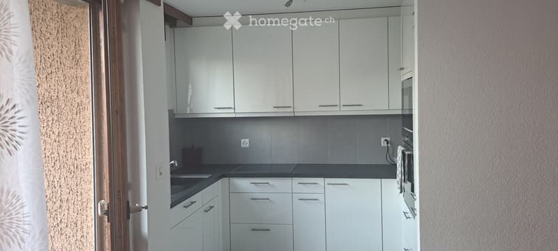 Grand appartement de 4.5pces (3)