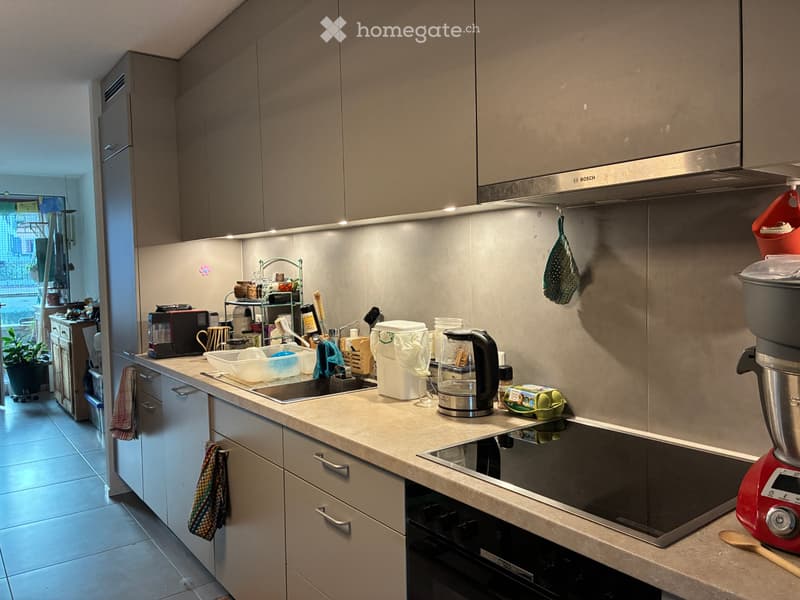 Appartement 3,5 pces à louer (4)