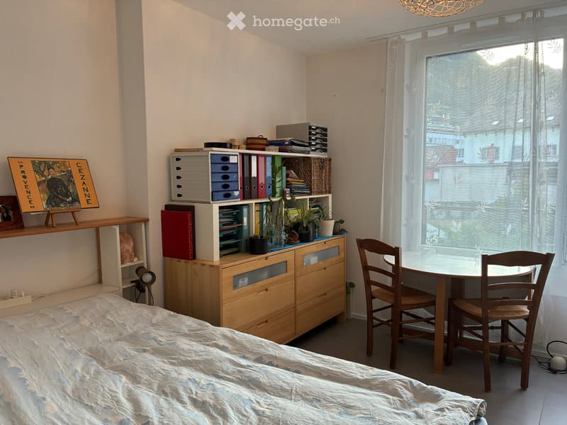 Appartement 3,5 pces à louer (5)