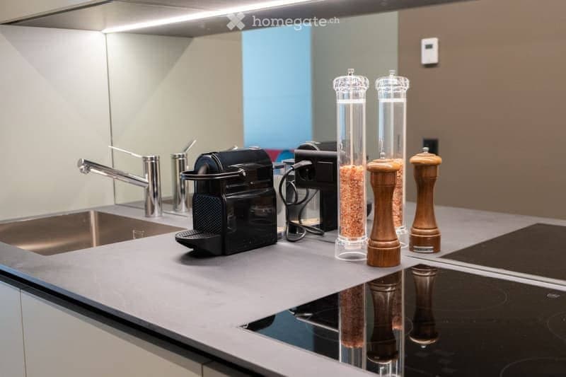 Schicke, charmante 60-m²-Wohnung in Zürich (3)