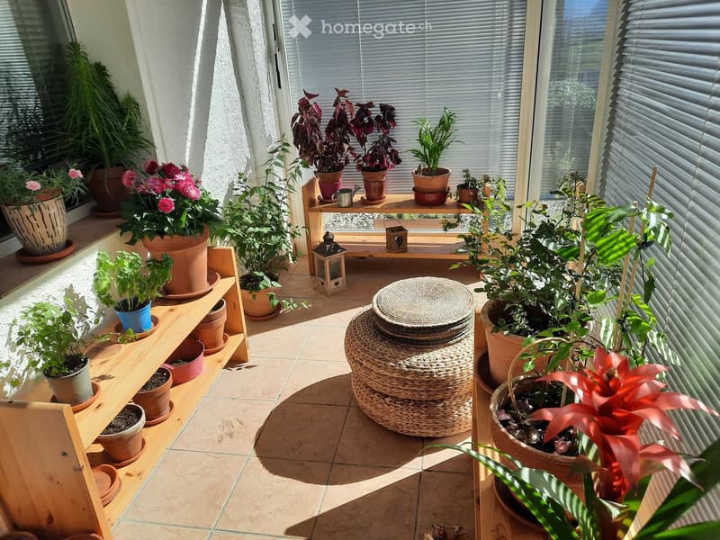 Bel appartement, spacieux, 2,5 pièces + petite véranda (5)