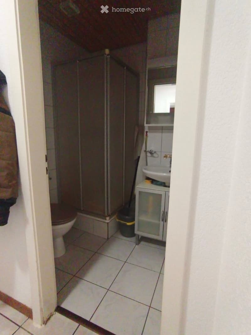 Magnifique appartement avec jardin, Montreux (5)