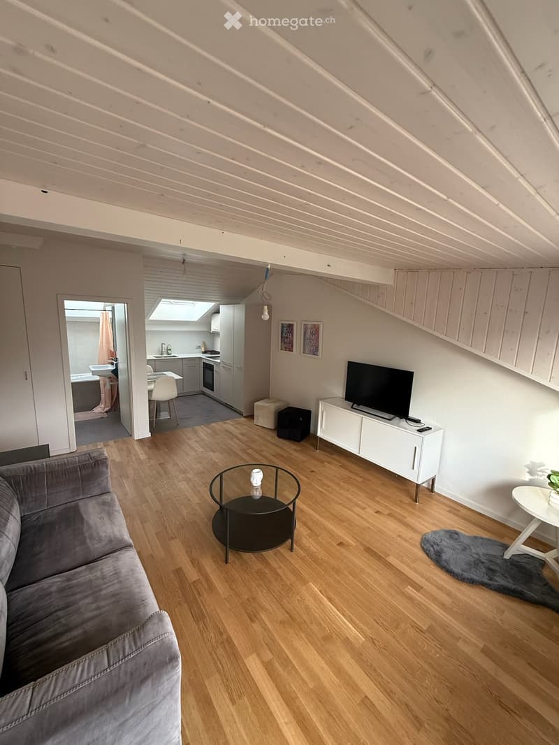 Appartement d'exception hyper central Lausanne (1)