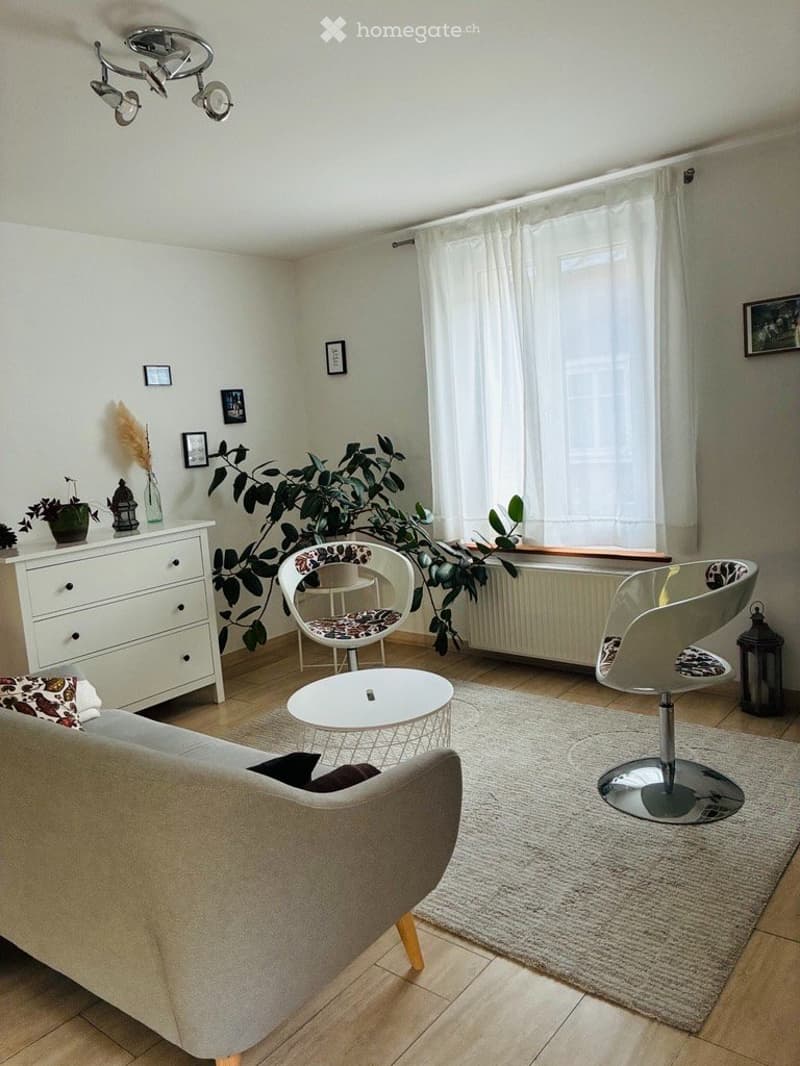 3,5 pièces au Rez, au quartier d'Alt (5)
