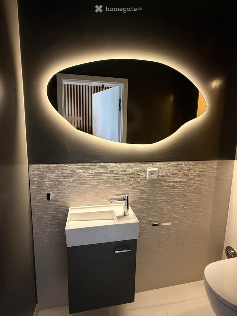 PETIT-SACONNEX  4 PIÈCES NEUF MEUBLÉ ET LUMINEUX (5)