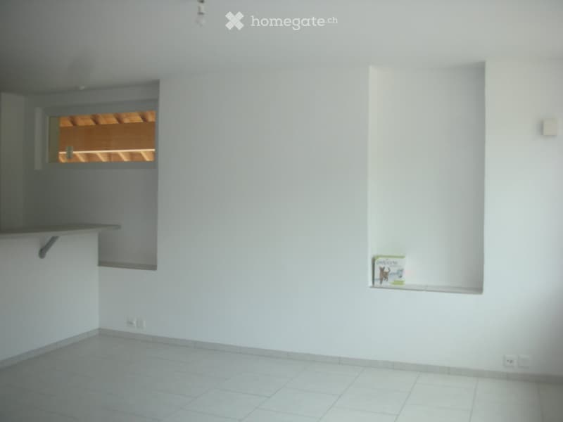 Duplex de 3.5 pièces (2)