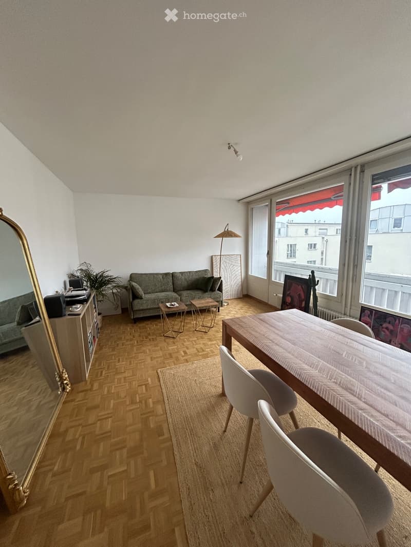 November Short-Term Sublet Perfect Between Two Homes (2)
