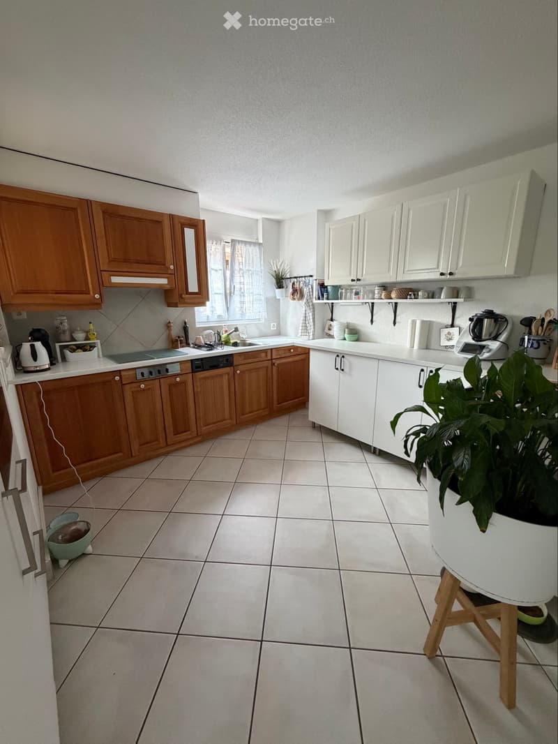 Appartement 3,5p. aux bains de Saillon (2)