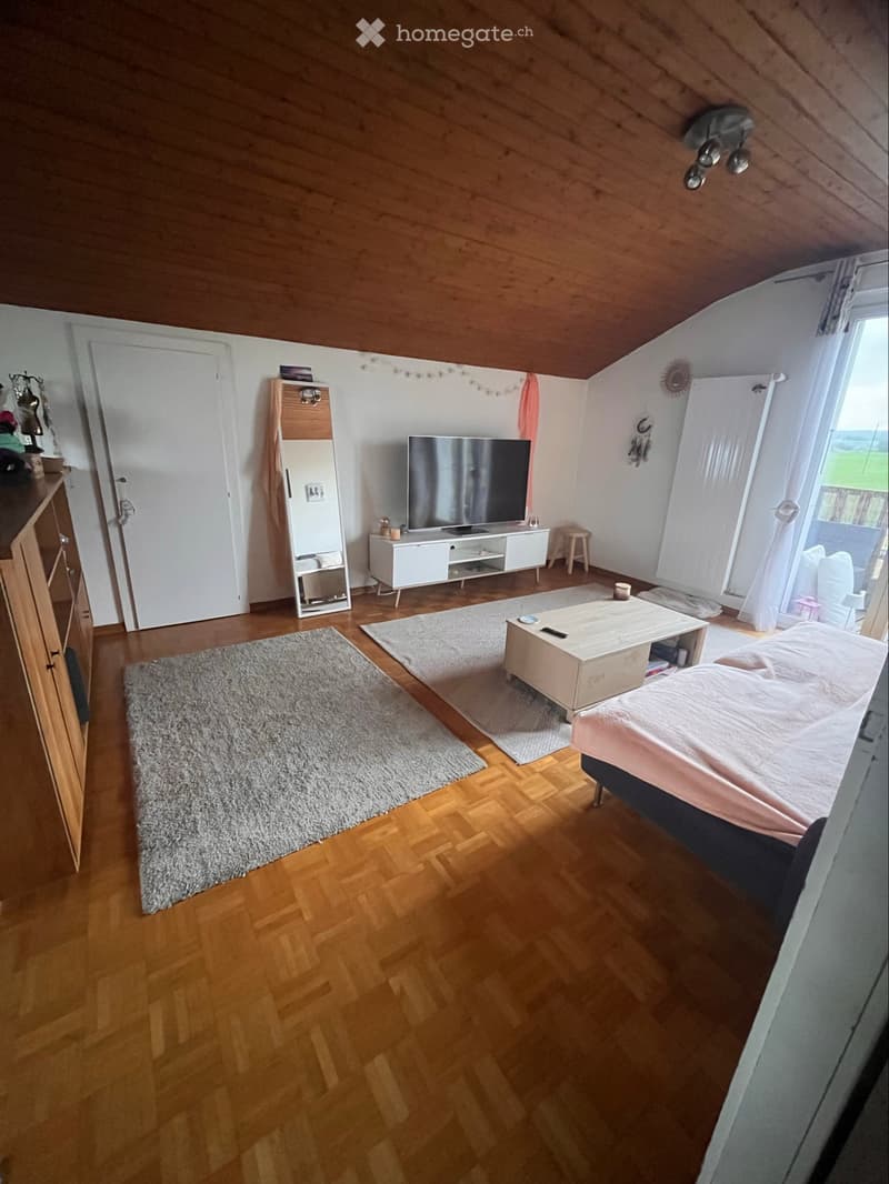 À louer appartement 2.5 pièces (2)