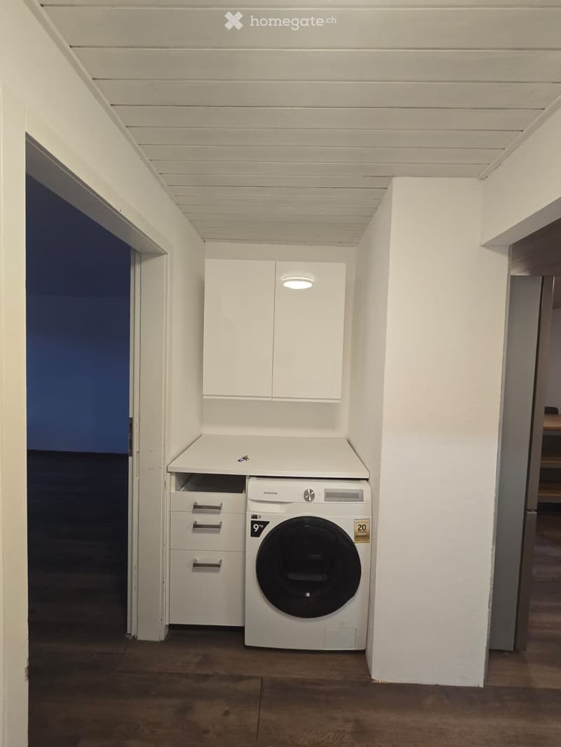 Appartement rénove 2.5 pc (5)
