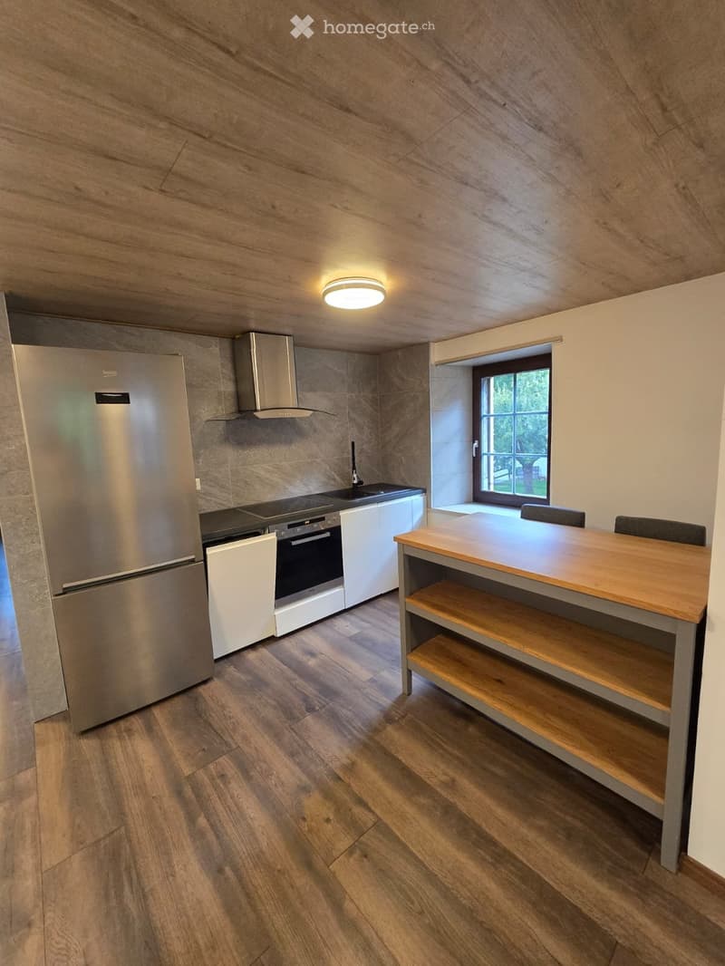 Appartement rénove 2.5 pc (3)