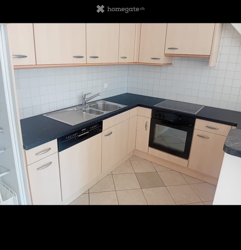 Appartement 4.5 Pces (1)