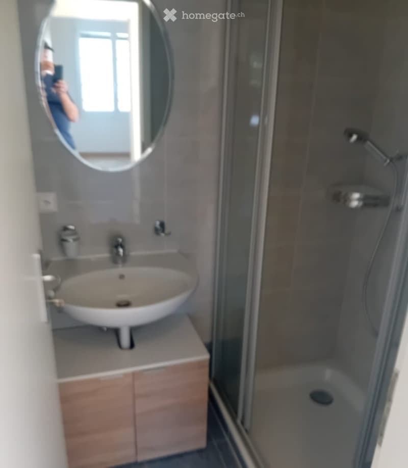 Appartement 4.5 Pces (3)