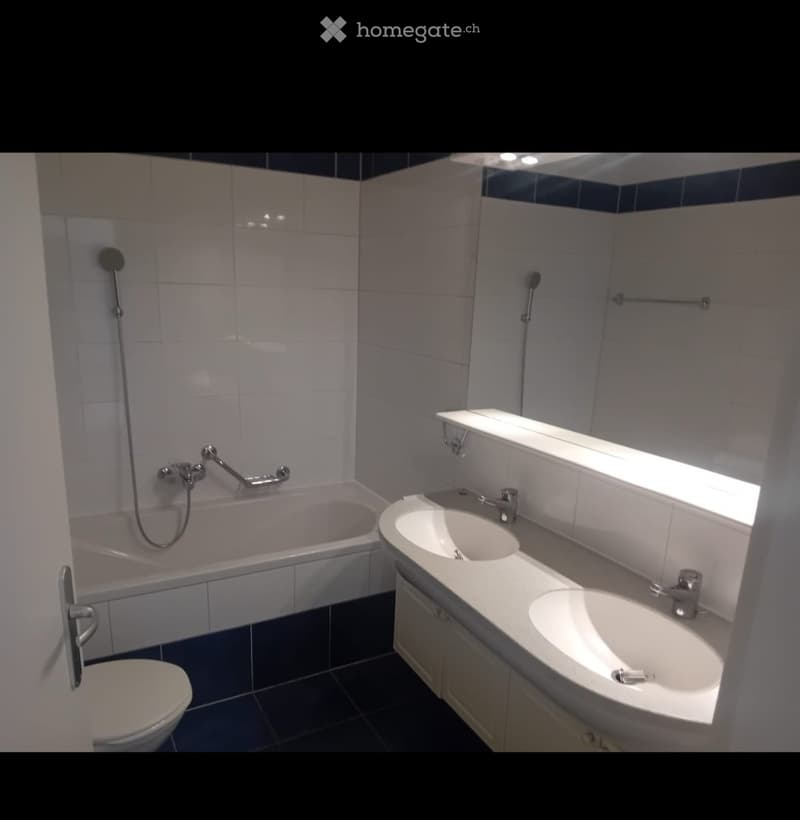 Appartement 4.5 Pces (5)