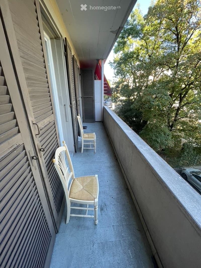 Joli 2,5 pièces à Servette balcon vue parc, au calme (5)