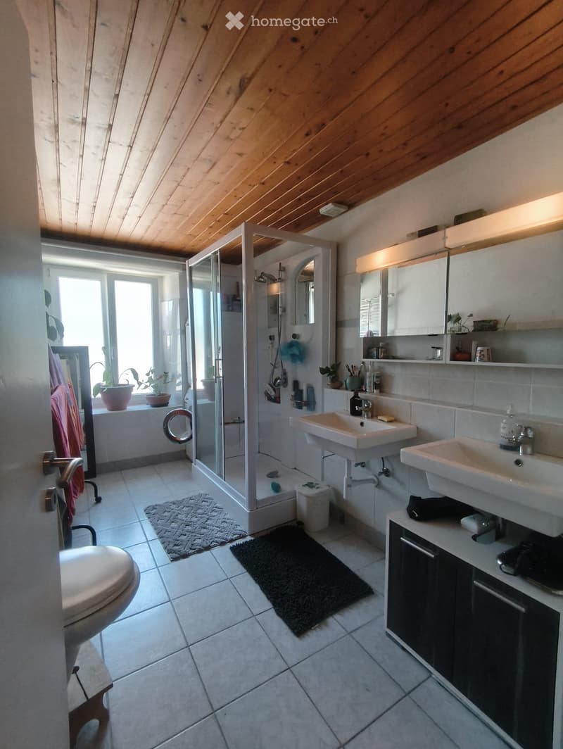 grand appartement 5,5 pièces (2)