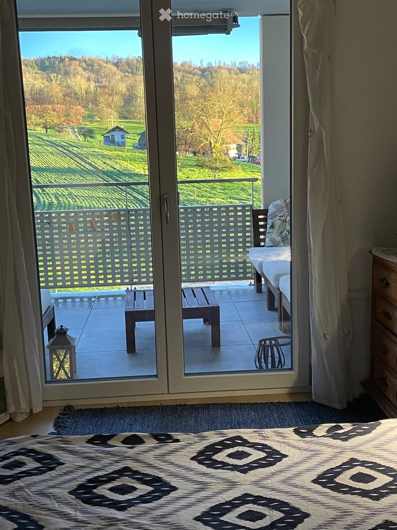 Appartement meublé, bail 6 mois, parking (4)