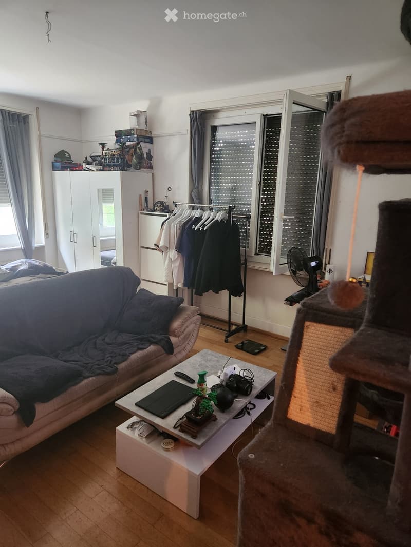 URGENT Studio 1 pièce 41m2 à Chailly (2)