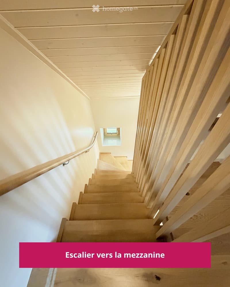 Reprise de bail Duplex de 2 pièces en mezzanine. (4)