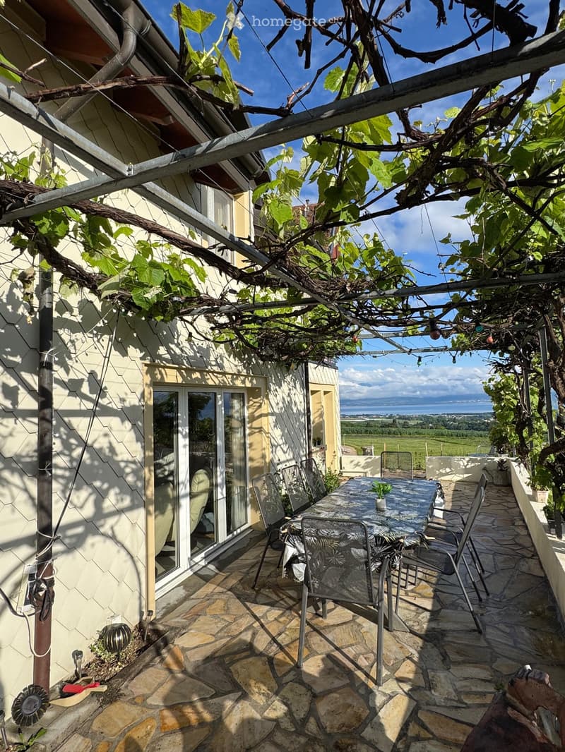 Vue sur le lac et terrasse de 36 m²  Proche dAubonne (2)