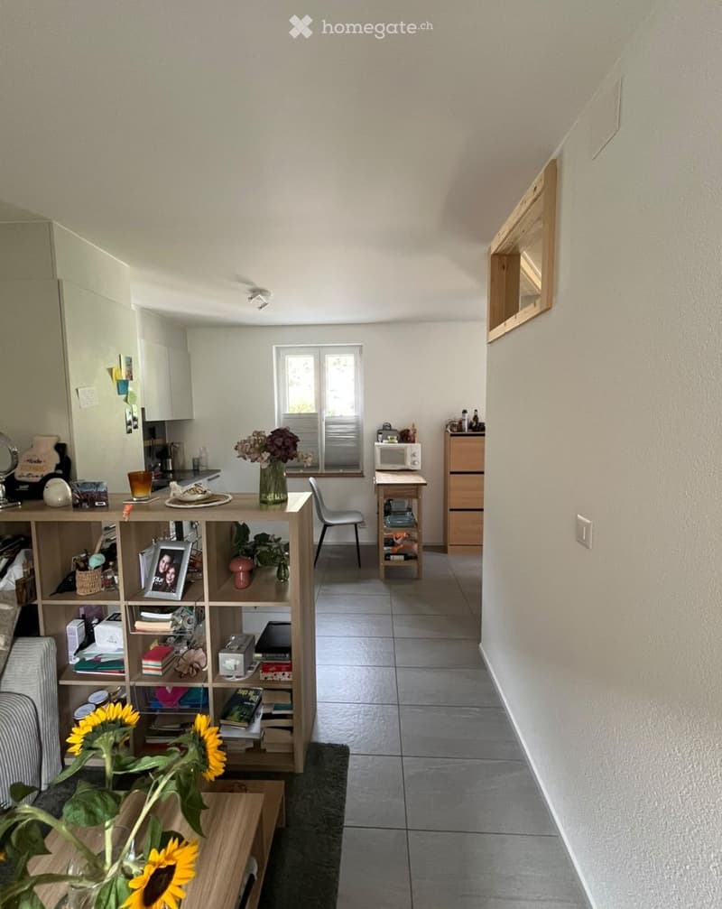 2,5 pièces à louer (2)