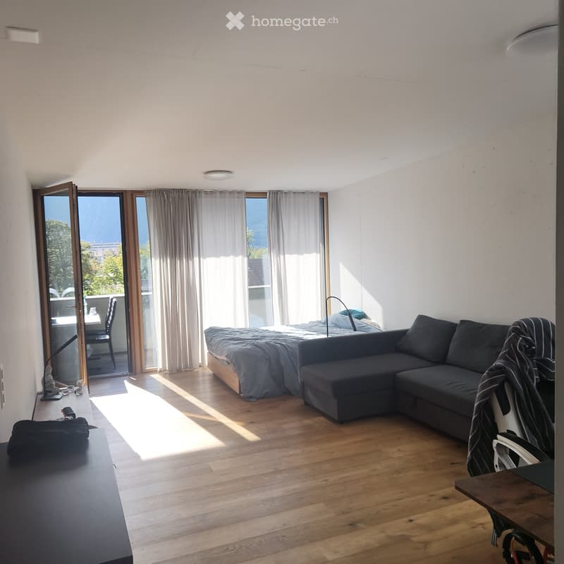 Studio de 50 m2 + terrasse + parc + cave (2)