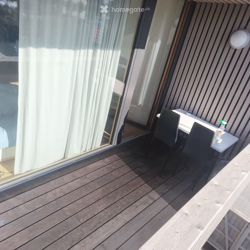 Studio de 50 m2 + terrasse + parc + cave (3)