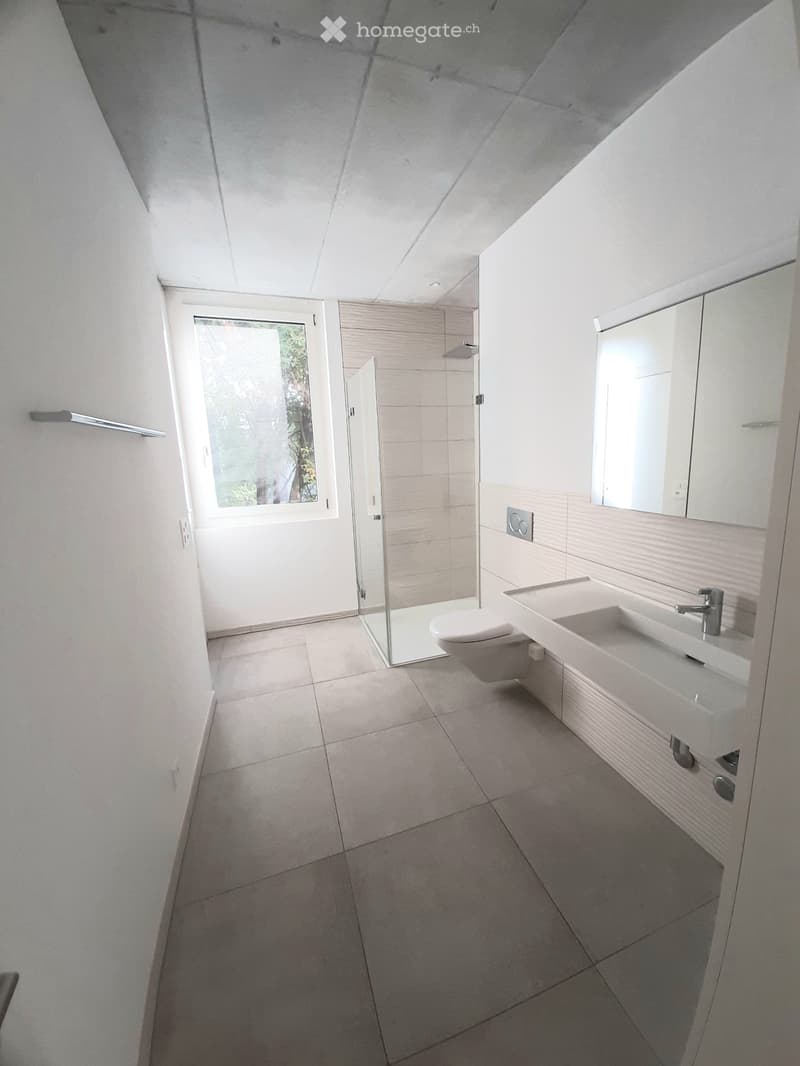 Moderne 2.5-Zimmer-Wohnung (4)