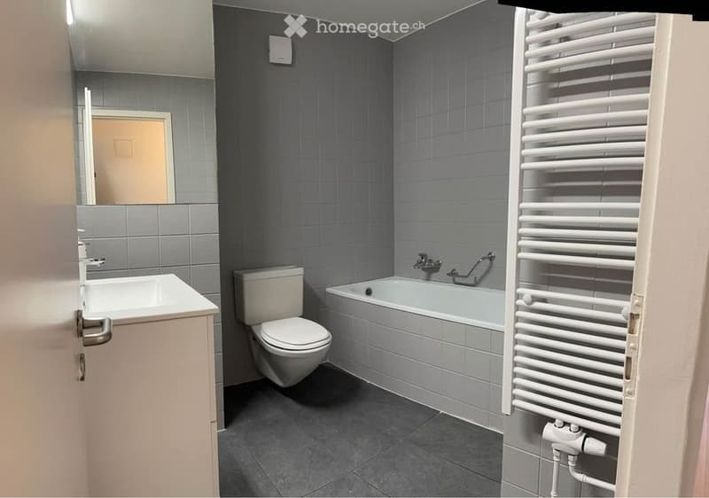Bel appartement 3 1/2 pcs avec vue sur le lac de Neuchâtel (5)
