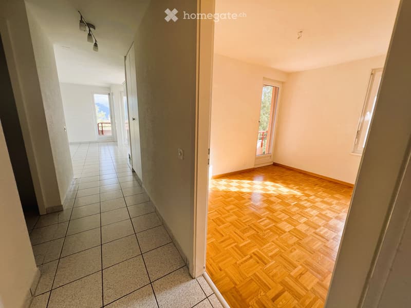 Appartement lumineux dans quartier verdoyant (4)