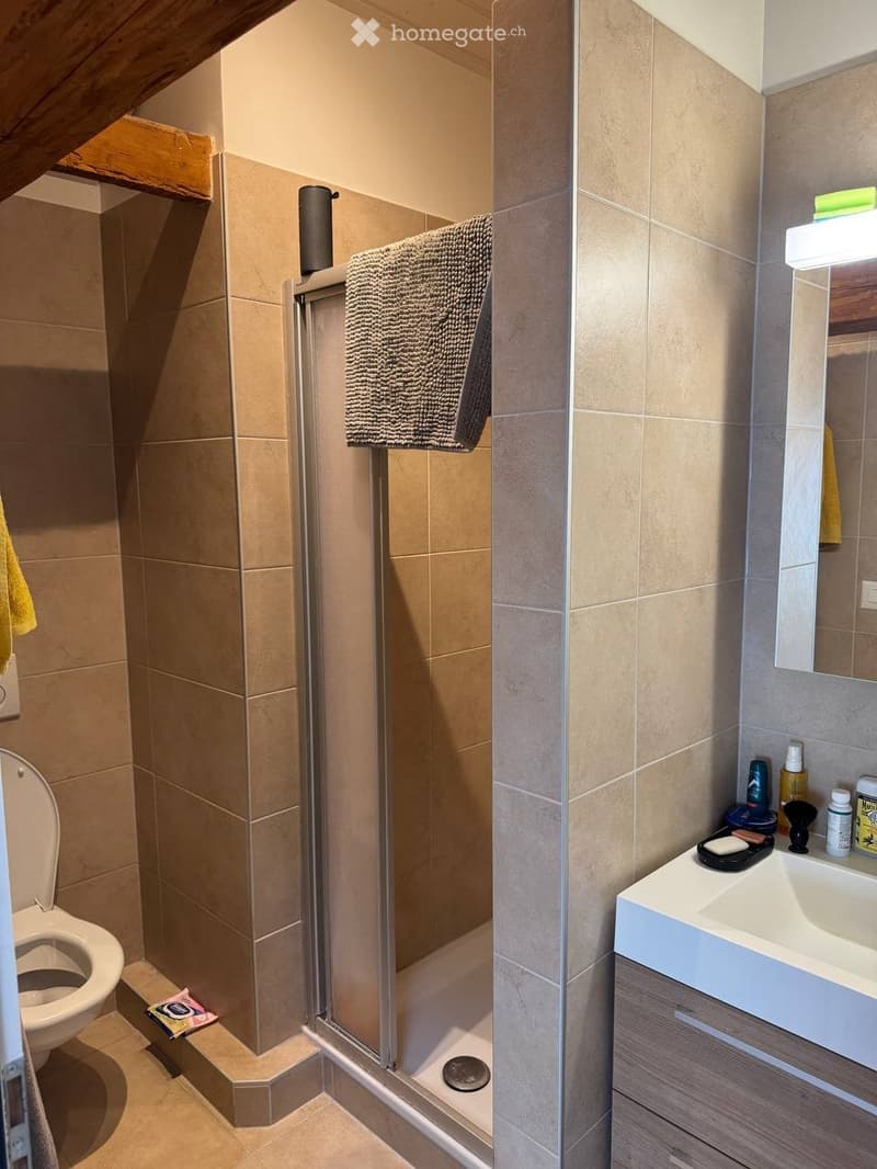 Magnifique appartement 3 pièces avec poutres apparentes (7)