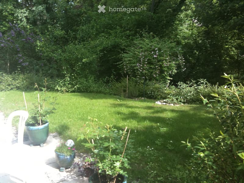 Appartement avec jardin (2)