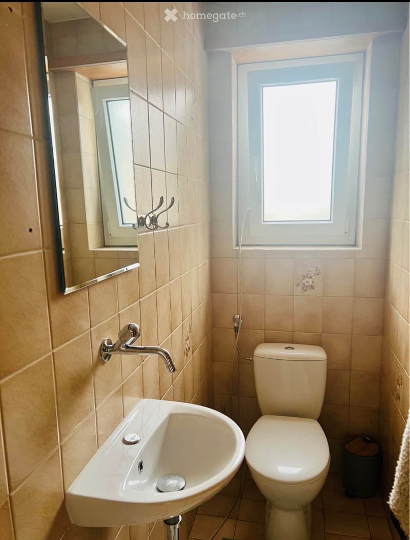 4.5-Zimmer-Wohnung zu vermieten (7)