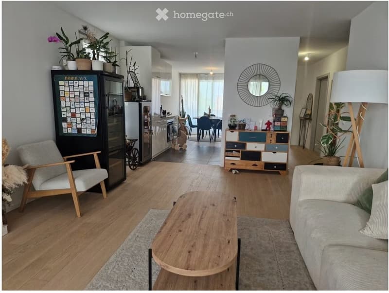 New modern apartment in Versoix (1)