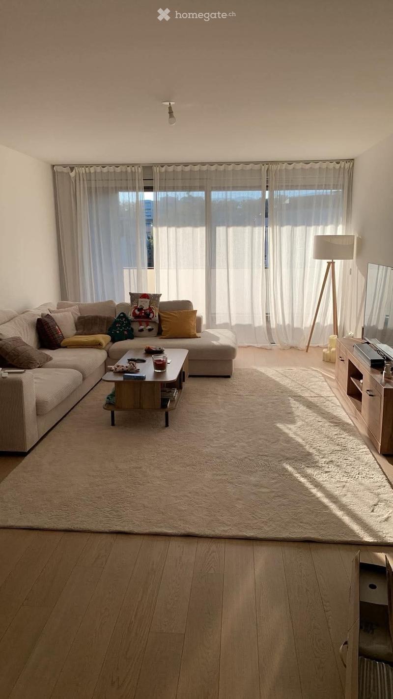 New modern apartment in Versoix (2)