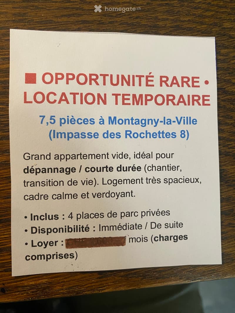 GRAND DUPLEX 7,5 pces 225m2 +dépôt meubles (1)