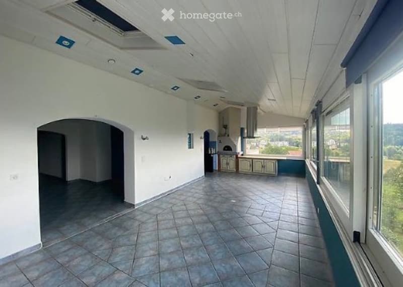 GRAND DUPLEX 7,5 pces 225m2 +dépôt meubles (2)
