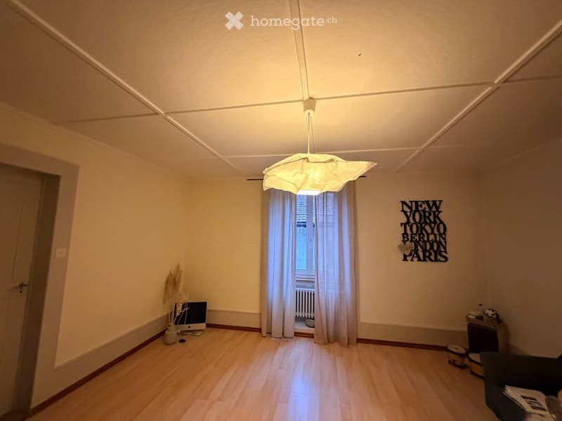 Grand appartement 5.5 pièces avec garage (3)