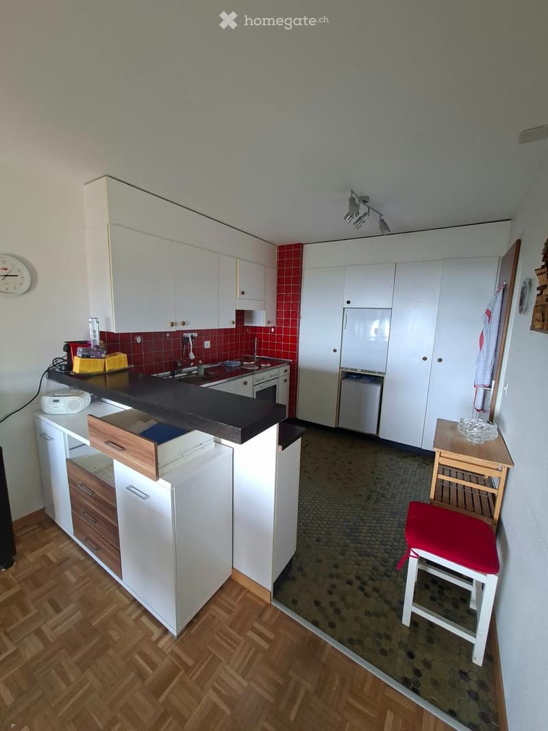 Grand appartement lumineux 2,5 pièces avec vue sur le lac (4)