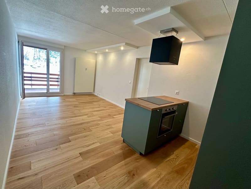 A louer appartement 2,5 pièces Anzère VS (2)