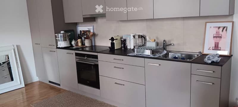 Appartement 1 pièce au coeur de Rolle (4)