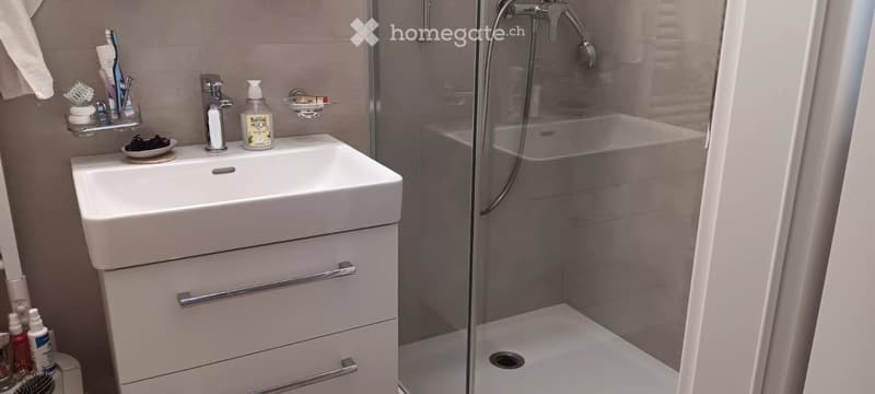 Appartement 1 pièce au coeur de Rolle (2)