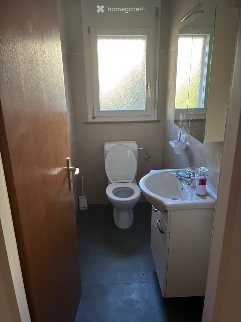 Appartement 4,5 pièces (3)